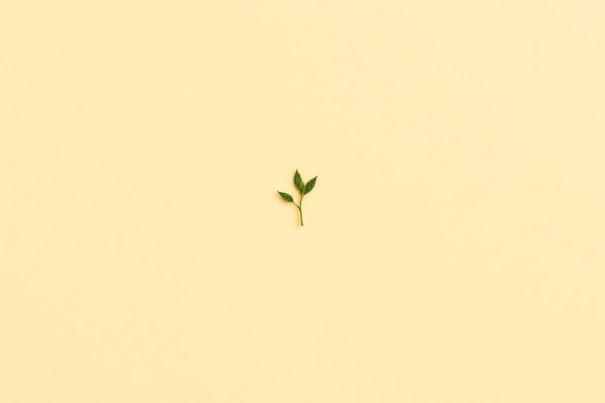 Mladý výhonok na teplom pozadí ako symbol vnútornej sily